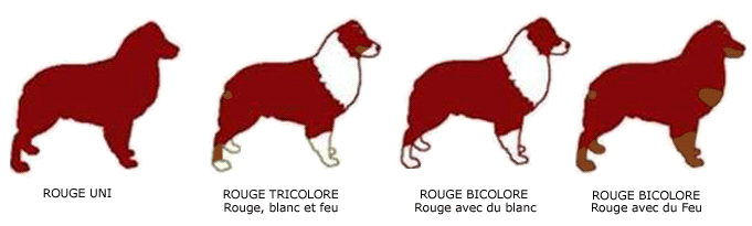 Clrouge